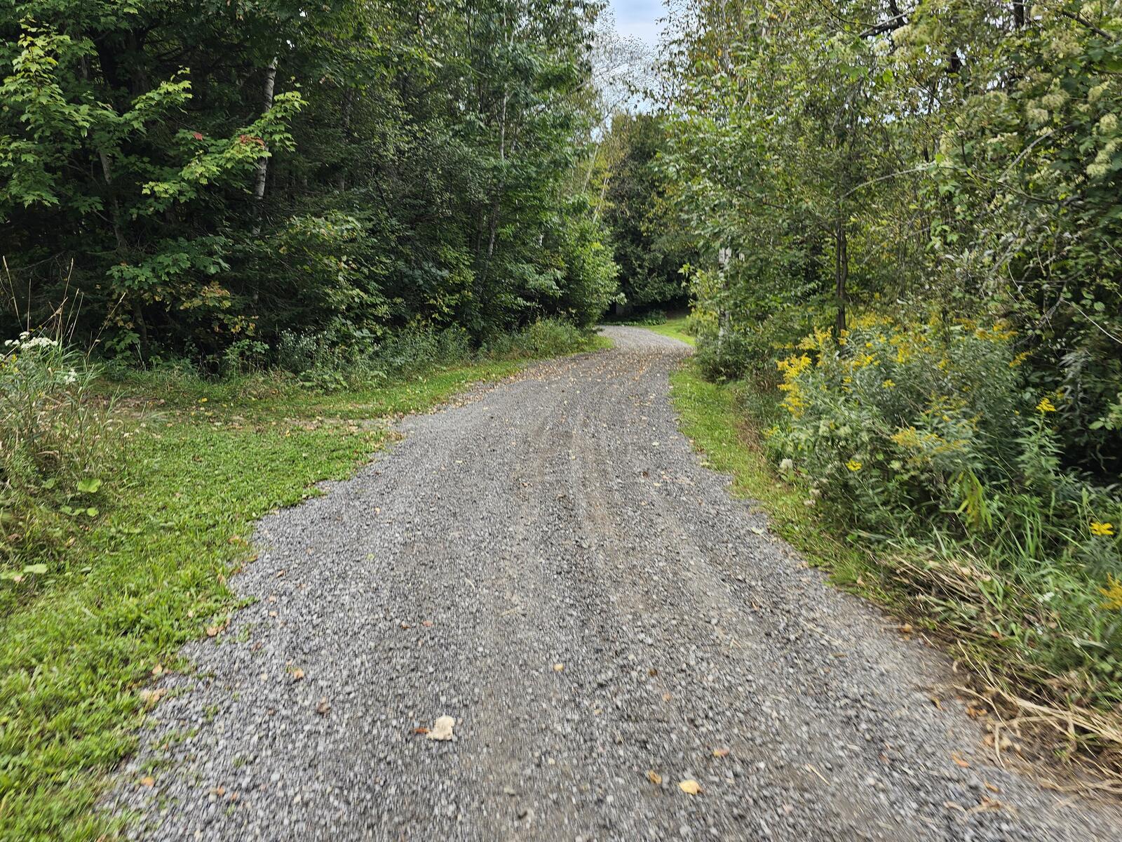 Hiking trails and sports fields at Camp Amy Molson in the Laurentians